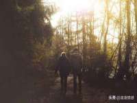 哈尔滨若特蒂科技有限公司