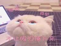 哈尔滨若特蒂科技有限公司