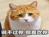 哈尔滨若特蒂科技有限公司