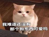 哈尔滨若特蒂科技有限公司