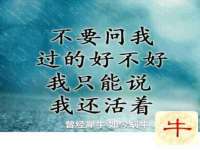 哈尔滨若特蒂科技有限公司