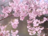 哈尔滨若特蒂科技有限公司