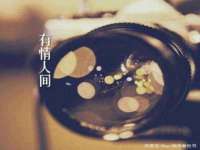 哈尔滨若特蒂科技有限公司