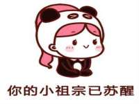 哈尔滨若特蒂科技有限公司