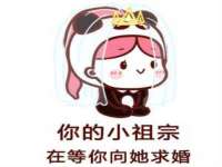 哈尔滨若特蒂科技有限公司