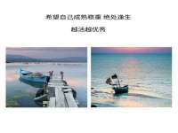 哈尔滨若特蒂科技有限公司