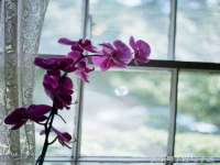 哈尔滨若特蒂科技有限公司