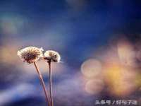 哈尔滨若特蒂科技有限公司