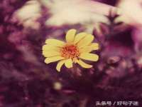 哈尔滨若特蒂科技有限公司