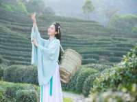 哈尔滨若特蒂科技有限公司