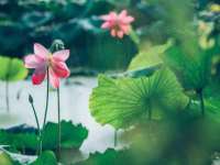 哈尔滨若特蒂科技有限公司