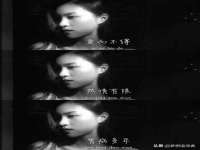 哈尔滨若特蒂科技有限公司