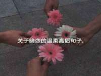 哈尔滨若特蒂科技有限公司