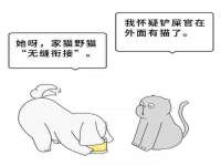 哈尔滨若特蒂科技有限公司