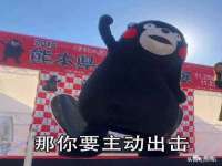 哈尔滨若特蒂科技有限公司