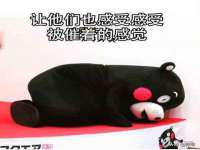 哈尔滨若特蒂科技有限公司