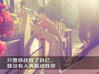哈尔滨若特蒂科技有限公司