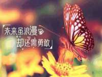 哈尔滨若特蒂科技有限公司