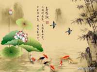 哈尔滨若特蒂科技有限公司