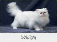 哈尔滨若特蒂科技有限公司