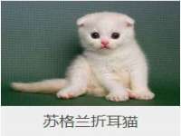 哈尔滨若特蒂科技有限公司