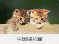 哈尔滨若特蒂科技有限公司
