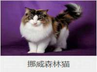哈尔滨若特蒂科技有限公司