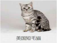哈尔滨若特蒂科技有限公司