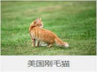 哈尔滨若特蒂科技有限公司