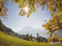哈尔滨若特蒂科技有限公司