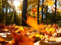 哈尔滨若特蒂科技有限公司