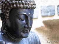 哈尔滨若特蒂科技有限公司