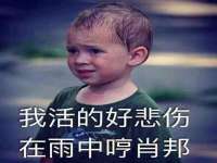 哈尔滨若特蒂科技有限公司