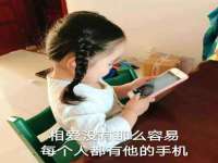 哈尔滨若特蒂科技有限公司