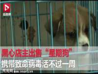 哈尔滨若特蒂科技有限公司