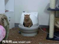哈尔滨若特蒂科技有限公司
