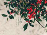 哈尔滨若特蒂科技有限公司