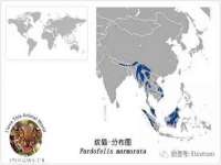 哈尔滨若特蒂科技有限公司