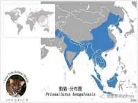 哈尔滨若特蒂科技有限公司