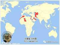 哈尔滨若特蒂科技有限公司