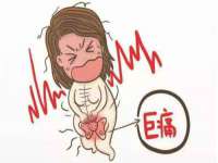 哈尔滨若特蒂科技有限公司