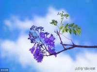 哈尔滨若特蒂科技有限公司