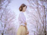 哈尔滨若特蒂科技有限公司