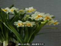 哈尔滨若特蒂科技有限公司