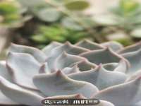 哈尔滨若特蒂科技有限公司