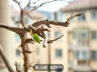 哈尔滨若特蒂科技有限公司