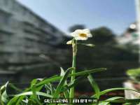 哈尔滨若特蒂科技有限公司