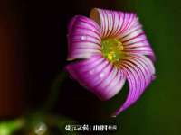 哈尔滨若特蒂科技有限公司