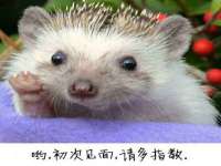 哈尔滨若特蒂科技有限公司