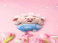 哈尔滨若特蒂科技有限公司
